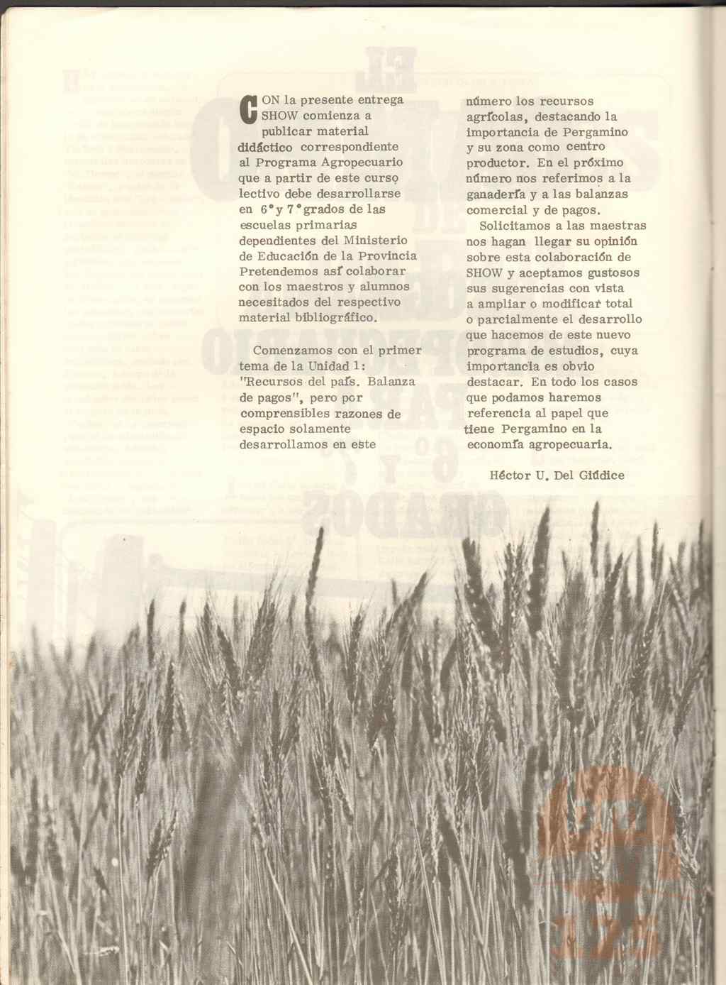 164 (12)_ds.jpg